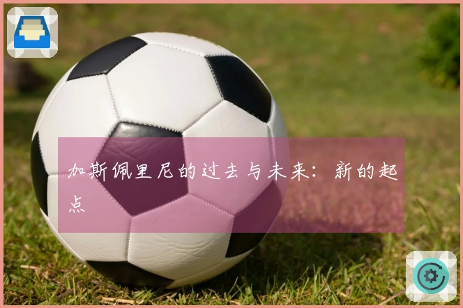加斯佩里尼的过去与未来：新的起点